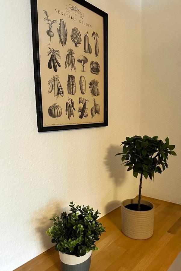City-Apartment In Krefeld - Beuys Apartments - Krefeld Luaran gambar